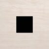 Prismatics Black Satin