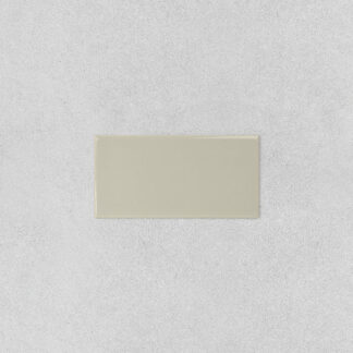 Prismatics Mushroom Gloss