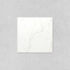 Carrara Statuari Satin