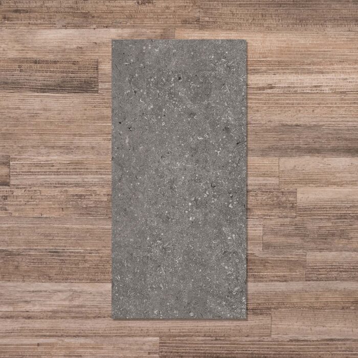 Fossile Anthracite Grit