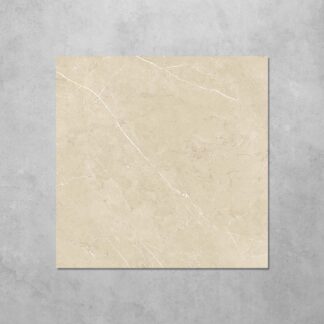 Silver Taupe Polished