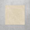 Silver Taupe Polished