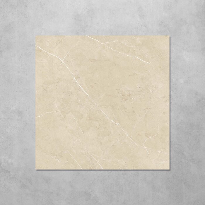 Silver Taupe Polished