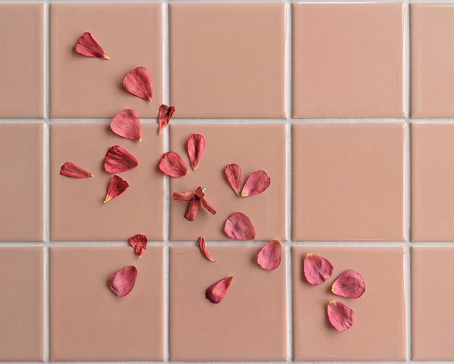 Pink tiles and interior design inspiration highlighting the soft and expressive qualities of pink colour psychology